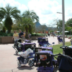 Orlando104
