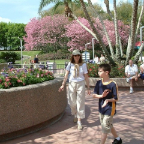 Orlando105