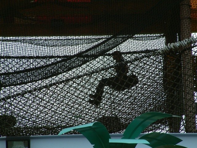 Loading Image