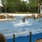 Orlando151