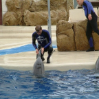 Orlando152