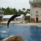 Orlando153