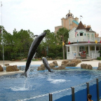 Orlando154
