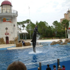 Orlando156