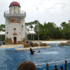 Orlando157