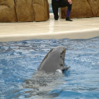 Orlando158