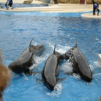 Orlando169