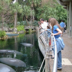 Orlando173