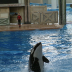 Orlando24