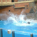 Orlando36