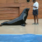 Orlando37