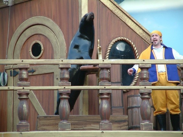 Loading Image